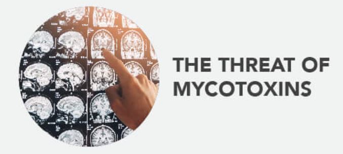 The Threat of a Mycotoxins The Threat of a Mycotoxins