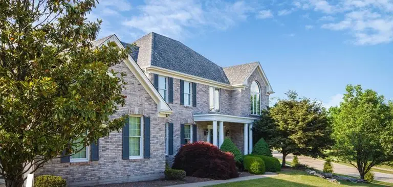 Black Mold vs Other Molds: Identification and Dangers