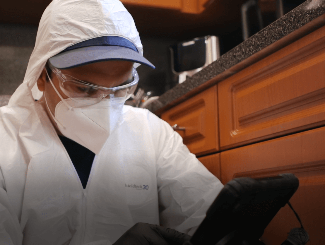 Mold Sanitization vs. Mold Remediation – The Better Choice