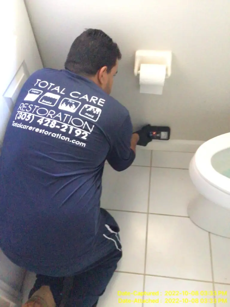Bathroom Mold Removal