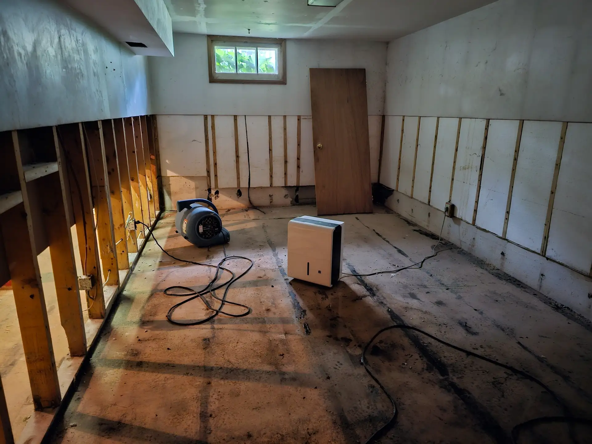 The Fastest Way to Handle Emergency Water Removal in Your Home