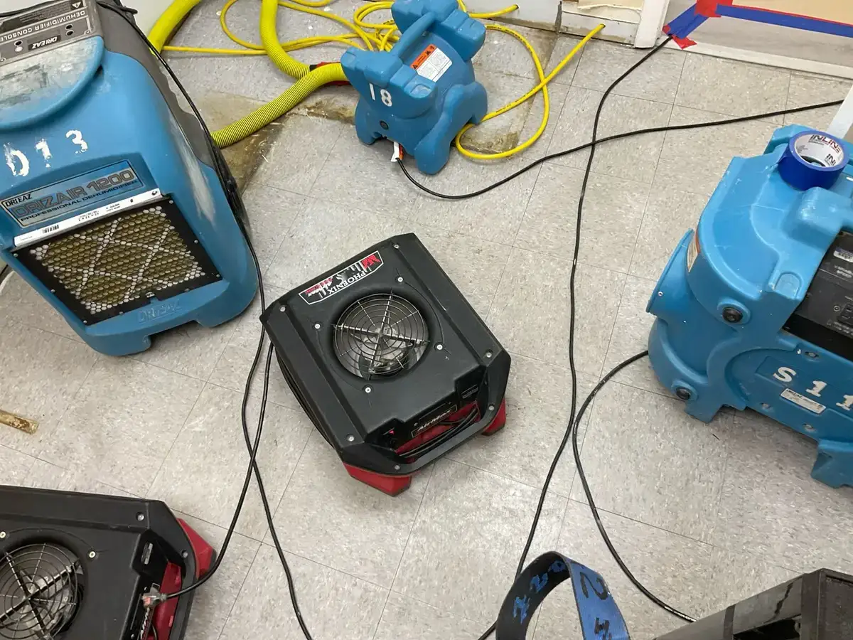 Commercial dehumidifiers and air movers staged for structural drying.