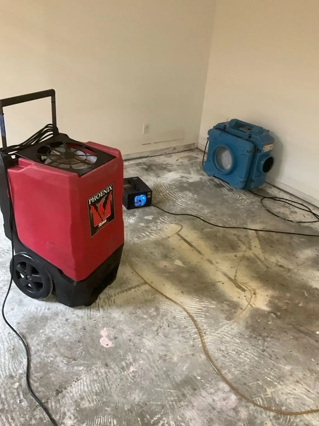 Phoenix dehumidifier, air mover, and blue air scrubber run on a bare concrete floor with baseboards removed.