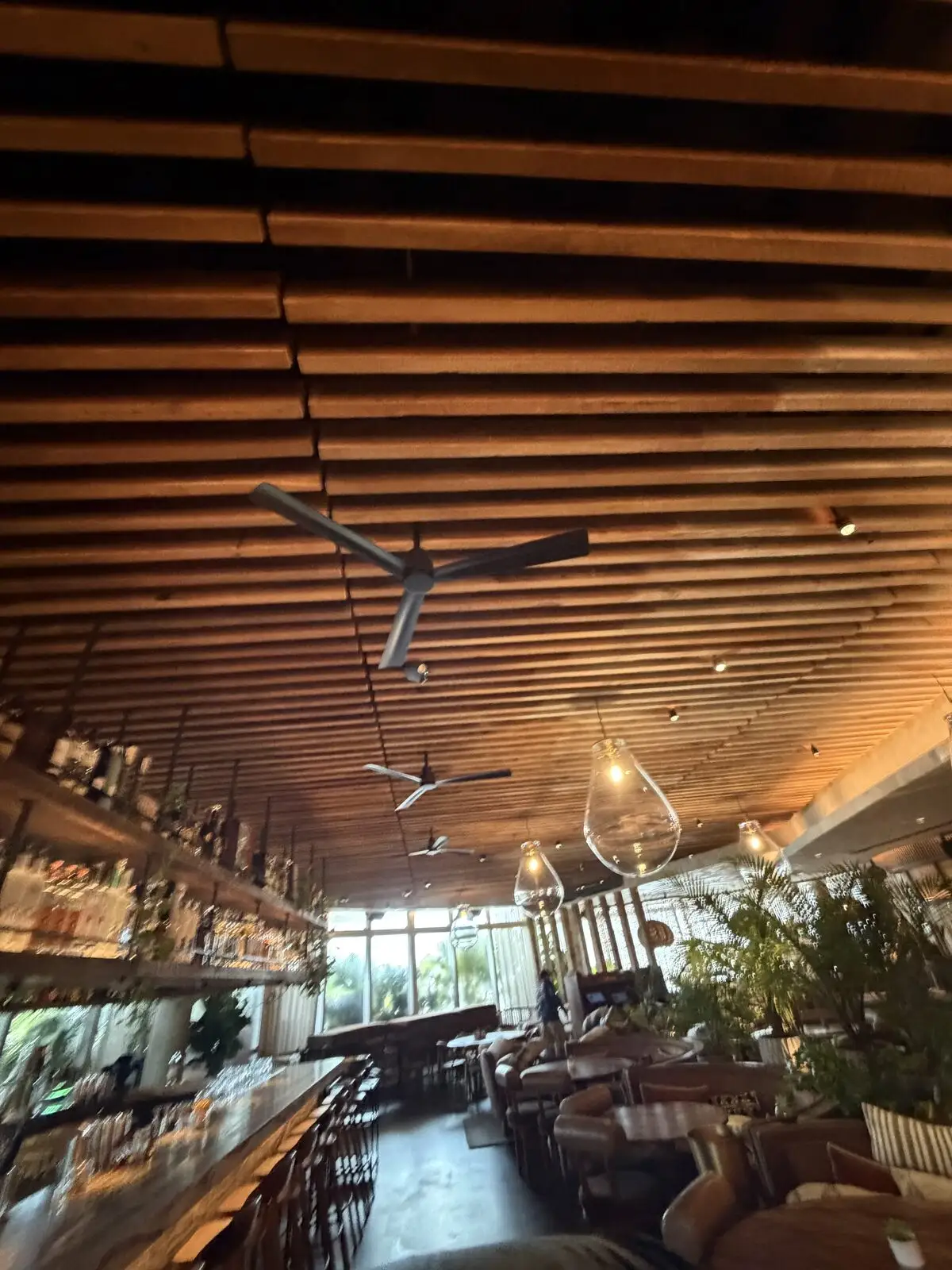 Restaurant bar with bottle shelves, pendant lights, and dining seating under a wood-slat ceiling in Miami Beach.