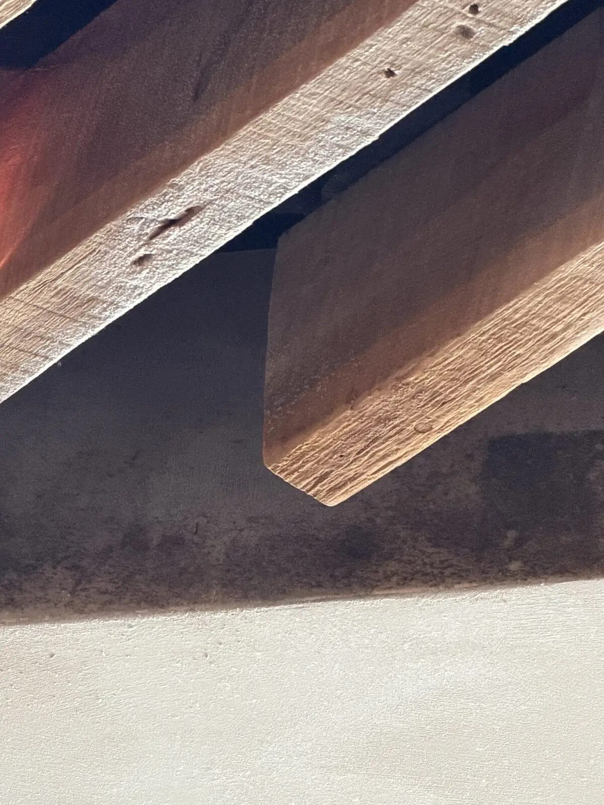 Close-up of dark spotting on a gray beam below wood planks in a Miami Beach restaurant before sanitization.