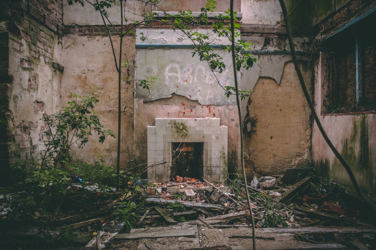 Mold in Wall Chases & Interstitial Spaces restoration services in South Florida