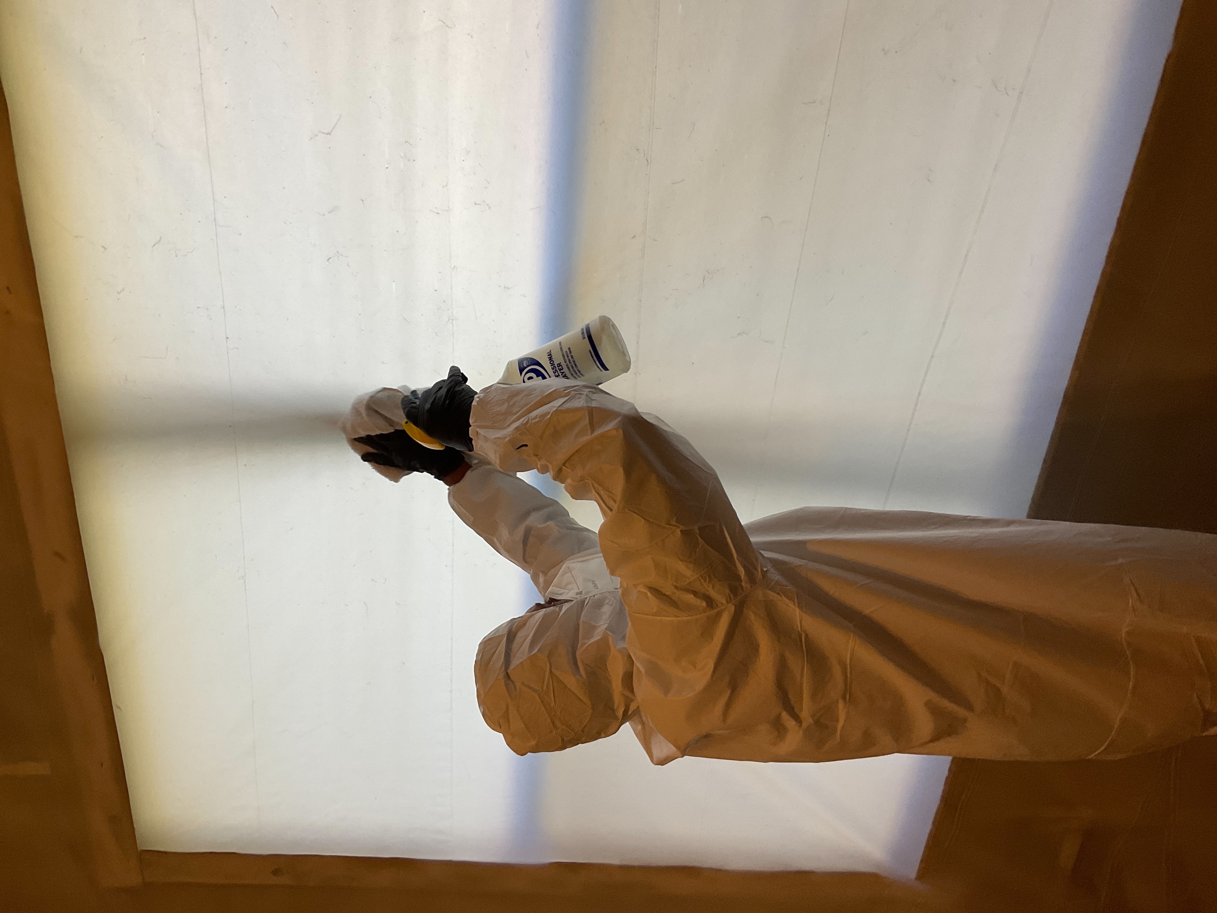 Professional mold containment setup with plastic sheeting and remediation equipment