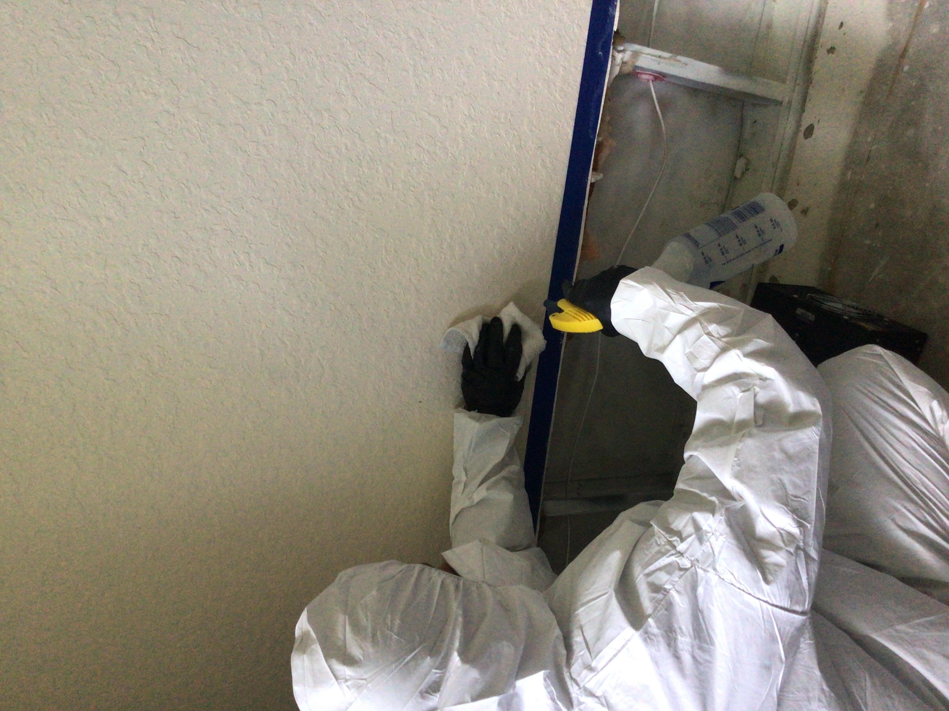 Professional technician applying antimicrobial treatment during mold remediation