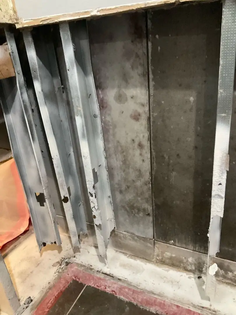 Black mold on drywall – what mold on walls looks like; is black mold on drywall dangerous