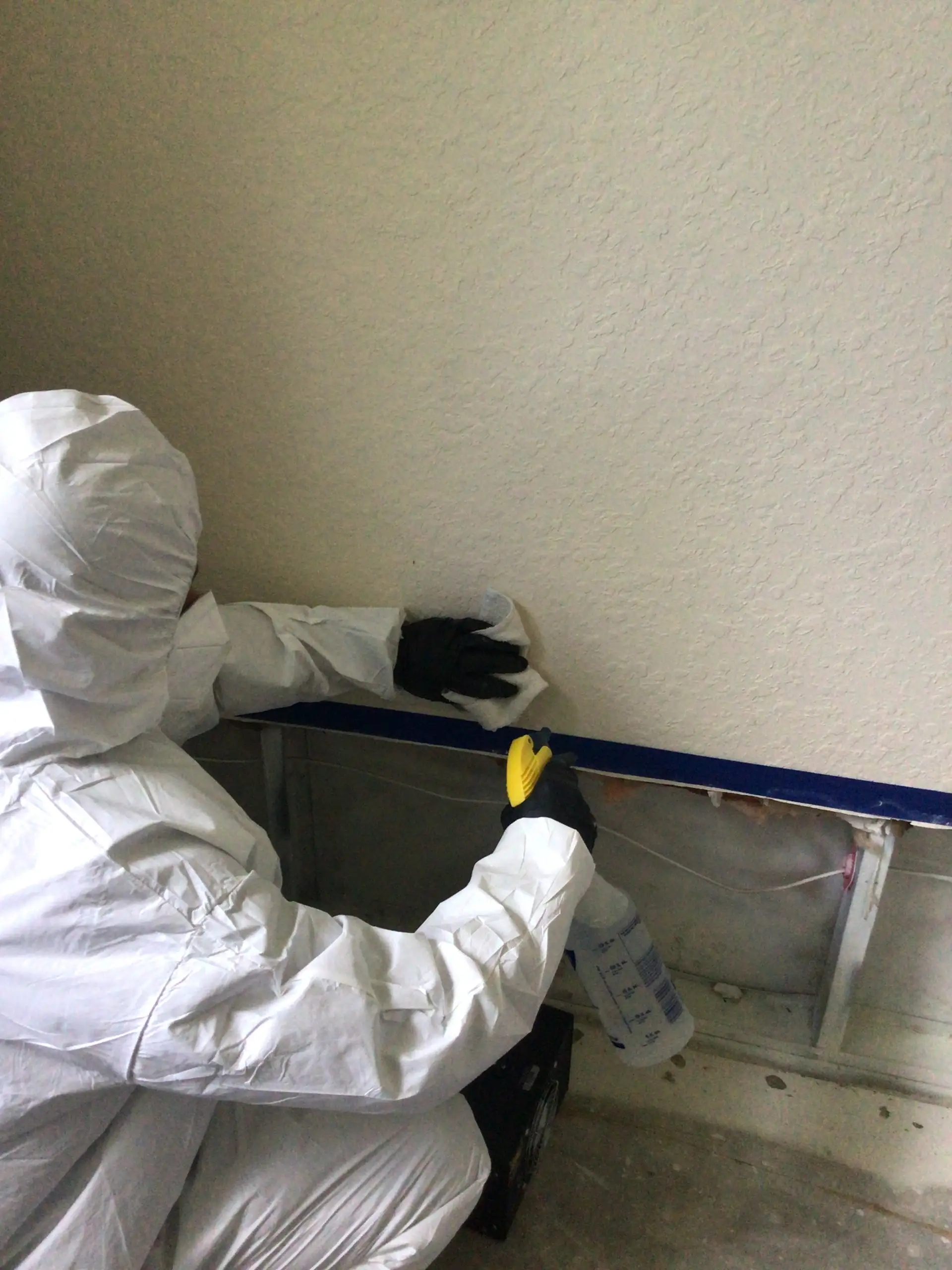Professional mold remediation technician applying treatment product