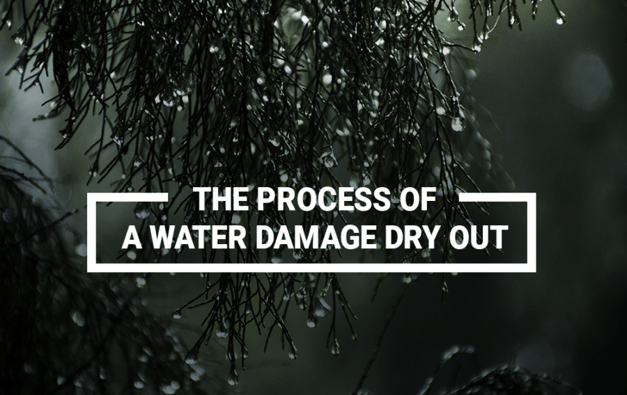 Water Damage Dry Out Picture