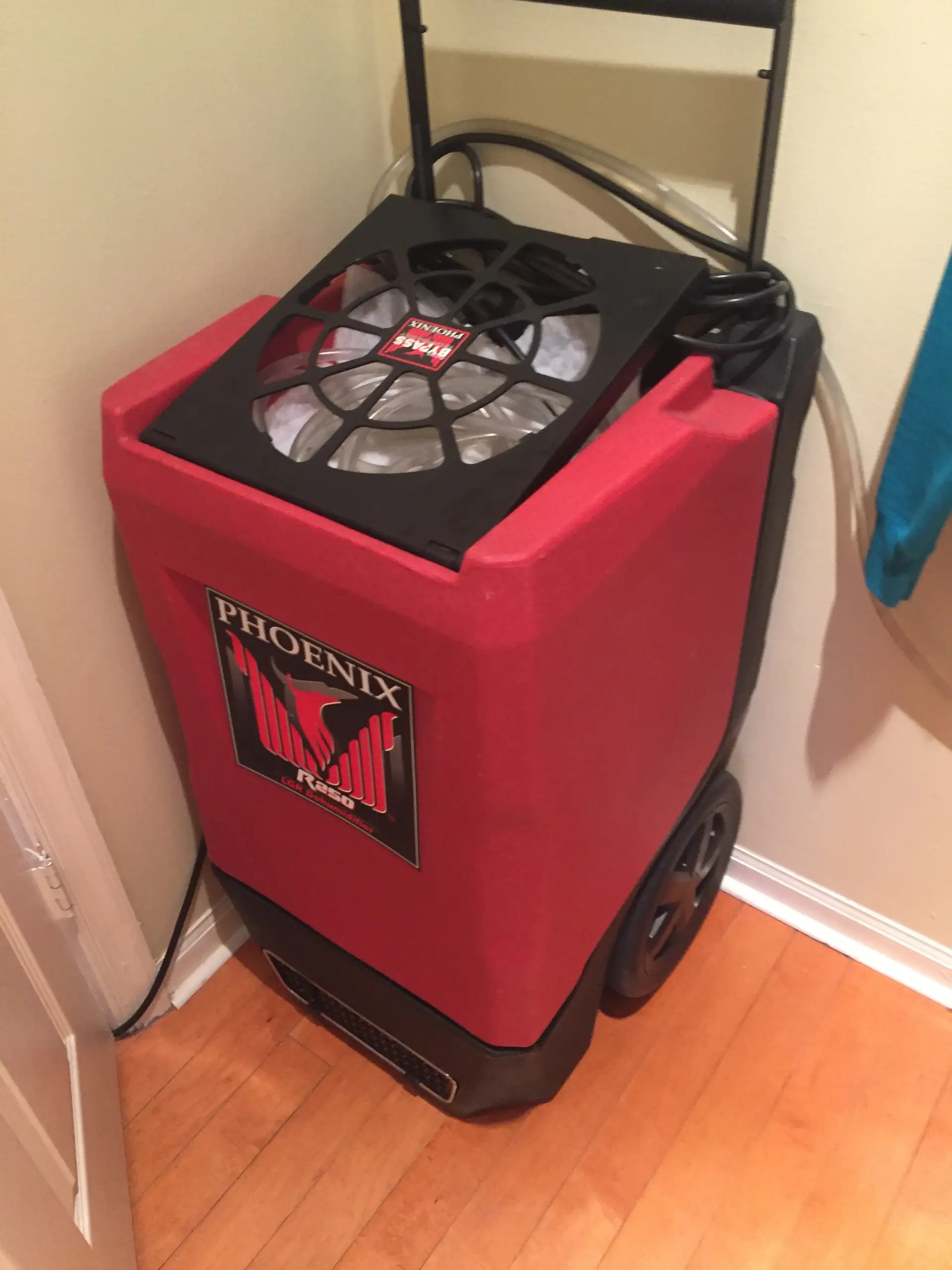 Water dryout dehumidifier